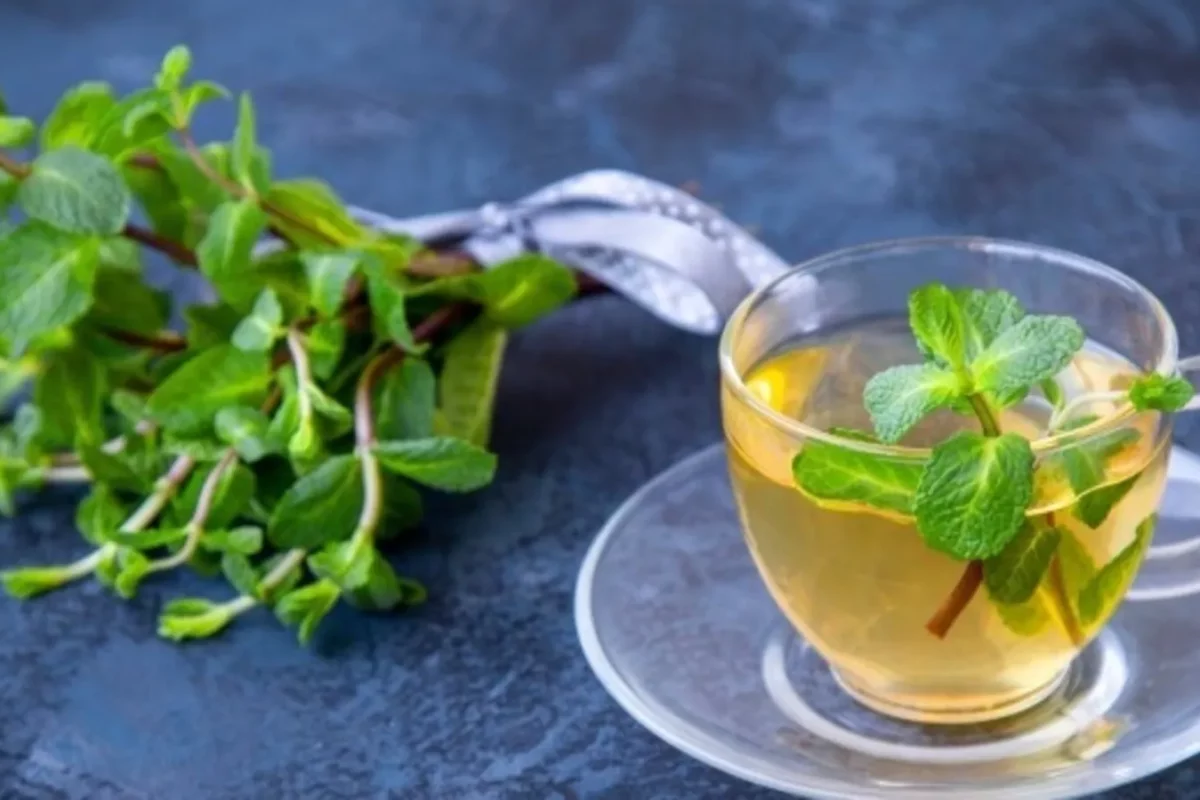 wellhealthorganic.com:5-herbal-teas-you-can-consume-to-get-relief-from-bloating-and-gas