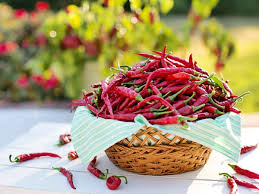 wellhealthorganic.com:red-chilli-you-should-know-about-red-chilli-uses-benefits-side-effects